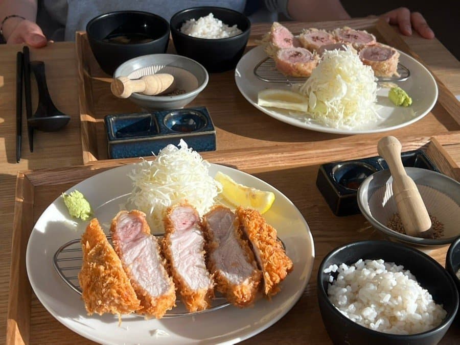 카츠 올로지 리뷰 2