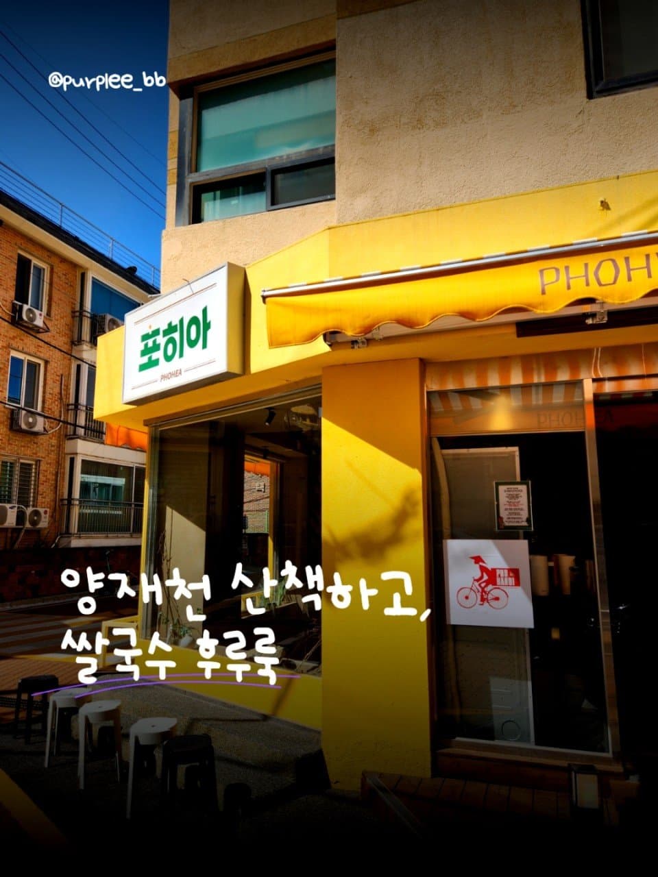 포히아 말죽거리 양재시민의숲 본점 리뷰 2